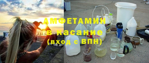 индика Алзамай