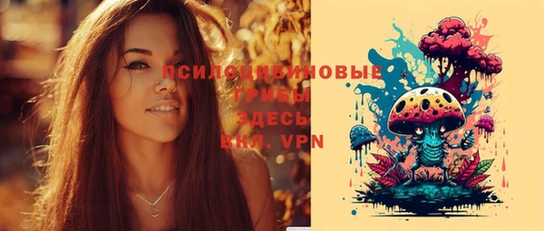 гашик Армянск