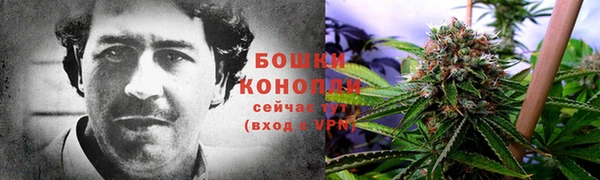 гашик Армянск