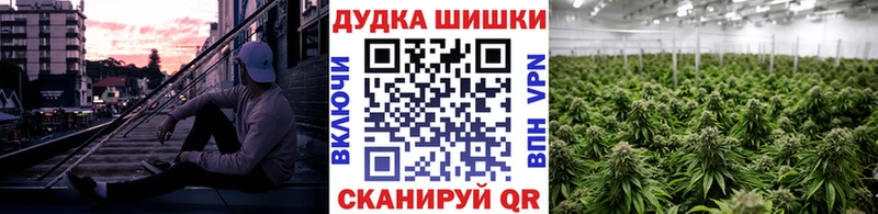 Бошки Шишки конопля  Жуковский 
